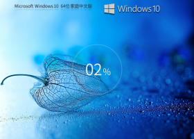 Windows10 22H2 19045.2965 X64 ¼ͥİ
