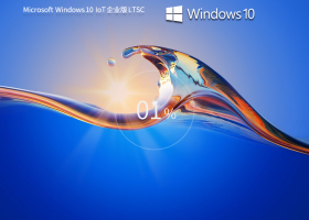 Windows 10 IoT ҵ LTSCʮְ֧棩