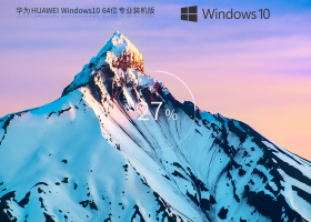 ΪͨáΪ HUAWEI Windows10 64λ רҵװ
