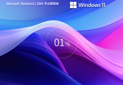  Windows11 23H2 64λ רҵ